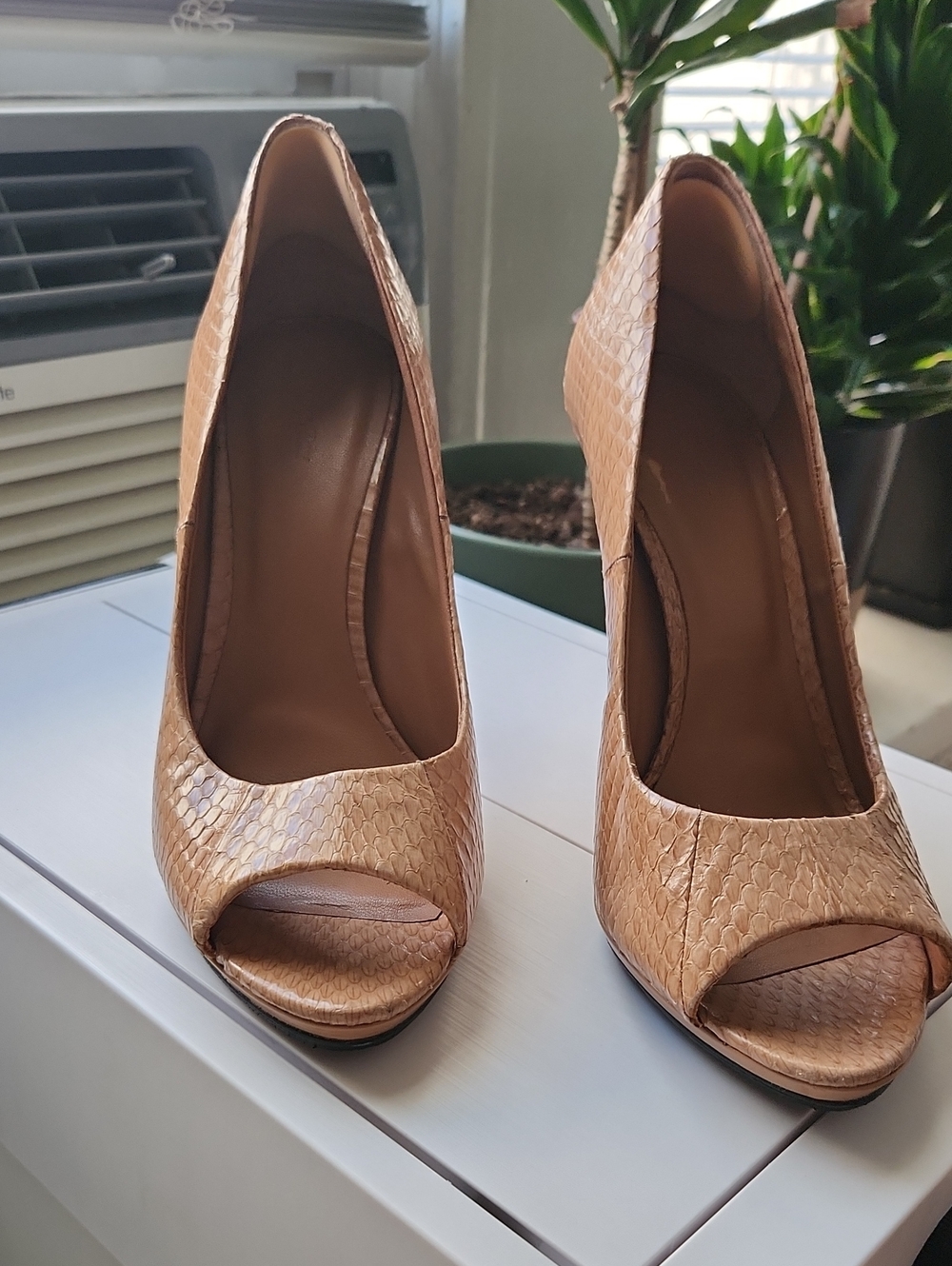 Vero Cuoio  Rachel Roy Tan Snakeskin Peep-Toe Stiletto Heels